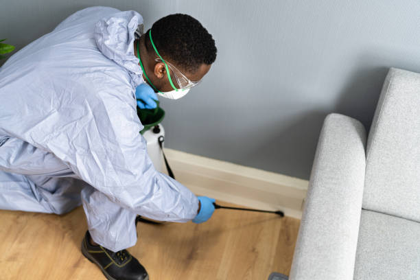 Best Fumigation Services  in Howland Center, OH